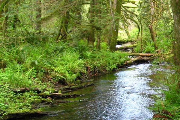 County Parks Clackamas County